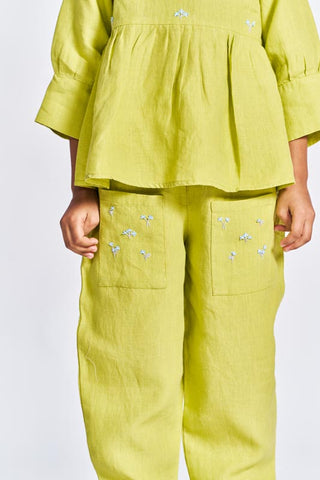 Lime Green Floral Embroidered Set